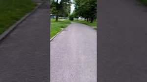 День 11