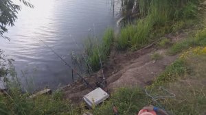 Жизнь в деревне - Поехали ! Такого я не ожидал: Рыбалка с ночёвкой с собачкой Соней