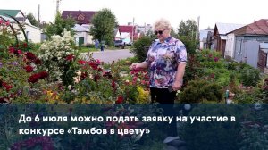 До 6 июля можно подать заявку на участие в конкурсе «Тамбов в цвету»
