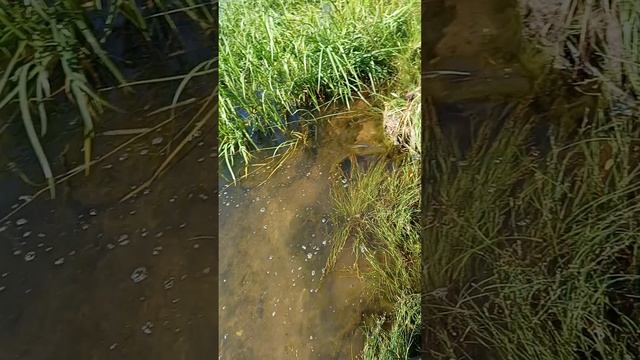 1000021401.mp4
