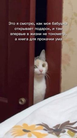 Смотрю, как моя бабушка открывает подарок, ежедневник для прокачки мозга