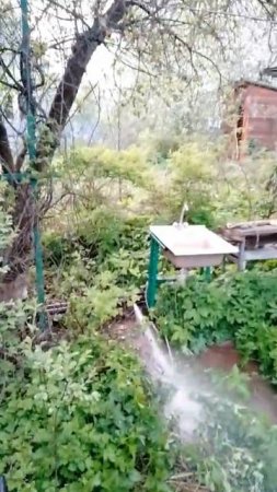 Прорыв воды, СНТ Северка, Уварово, МО