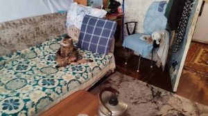 С днём рождения Кот 19лет Васёк.mp4