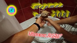 #Абхазия2025🌴 3 июля. Выпуск №2081🌡вчера +26°🌡ночью  +18°🐬море +23,7°❗