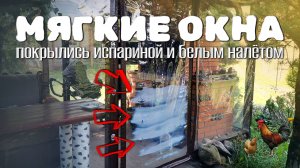 Мягкие покрылись испариной и белым налетом