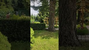 Как правильно пройти по канавке и получить сухарики бесплатно🙏