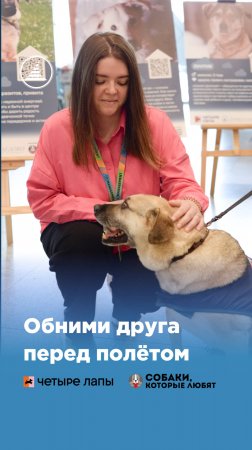 Знакомство с четвероногими гостями DME
