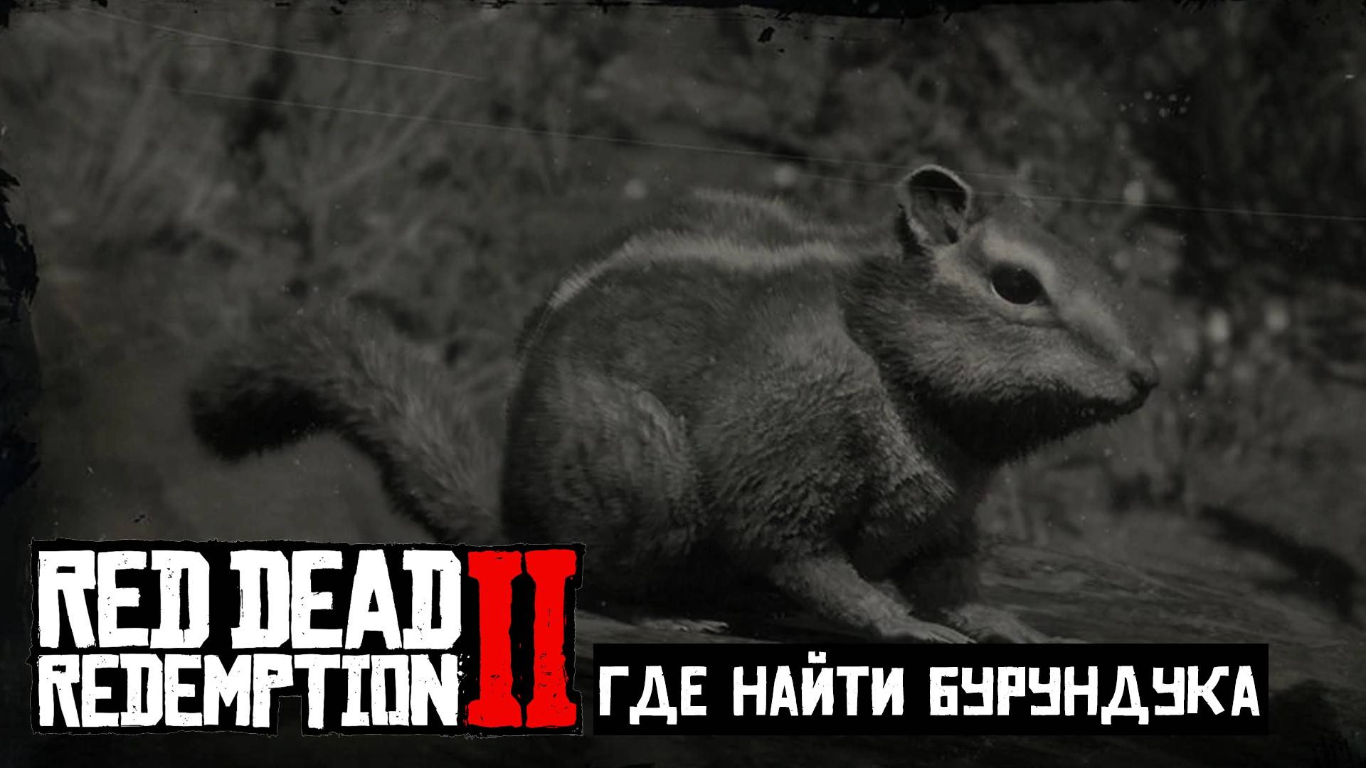 Где найти Бурундука в Red Dead Redemption 2 смотреть онлайн