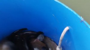 1000031509.mp4
