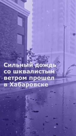 Сильный дождь со шквалистым ветром прошел в Хабаровске