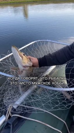 О как!🫠