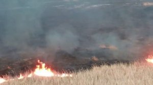 остановись не поджигай сухую траву.