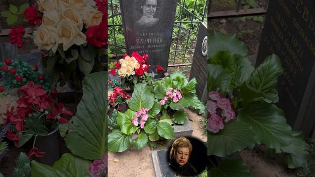 РЕВНИВЫЙ МУЖ ЗВЕРСКИ СЛОМАЛ ЕЙ КАРЬЕРУ В КИНО … МОГИЛА АКТРИСЫ ЛЮДМИЛЫ МАРЧЕНКО