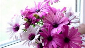 ЛЕТО, ЛЕТО!!! ДУША ТЕПЛОМ СОГРЕТА!!!!!!