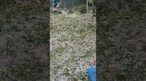 Последствия града в республике Адыгея 03.07.2025.