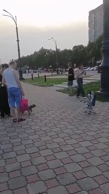 🐶🤖 Киберпанк в Благовещенске: робот-пес встретил пёселя и потроллил его