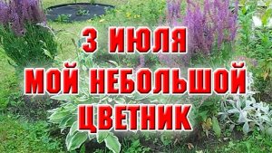 3 июля. Небольшой цветник