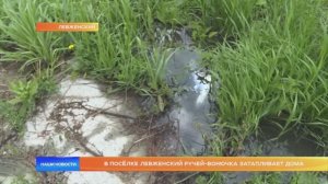 В посёлке Левженский ручей-вонючка затапливает дома