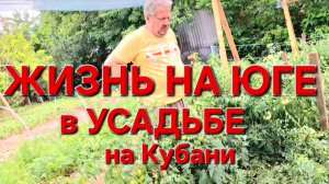 583 🏠 Жизнь на юге в усадьбе на Кубани. Весь день в делах.
