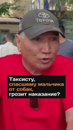 Случайный прохожий отбил ребенка у собак