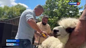 Новый имидж