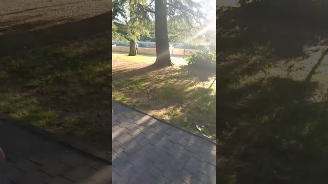 БЕГУЩИЙ НИНДЗЯ ₽%₽#₽%%₽#