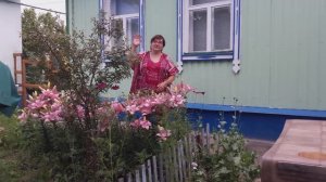 Жизнь в деревне. Хроника дня - Показываю и рассказываю