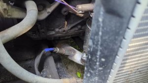 PXL_20250703_060146822