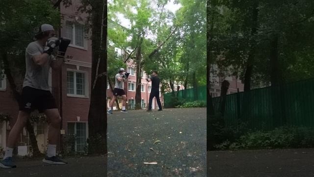 тренировка