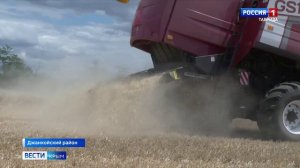 В Крыму начались работы по сбору урожая пшеницы.
