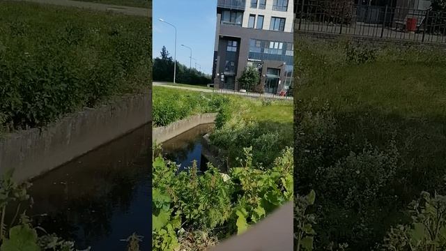 Черокова