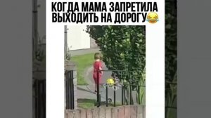 zapretili-vyhodit-na-dorogu