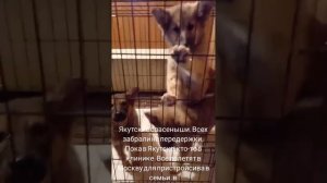 03-07-2025 якутята из ппбж Якутска