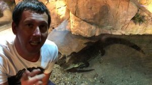 Если получилось у крокодилов, получится и у нас. Психологический туризм.