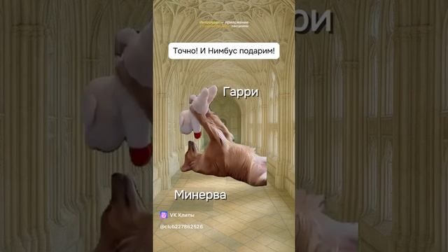 1000045044.mp4