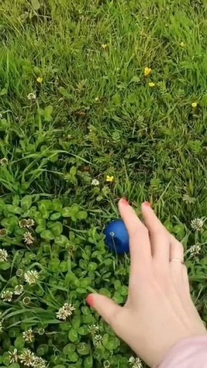 Неее пойду!😅