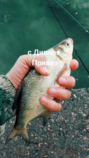 рыбалка на самом большом пруду мира