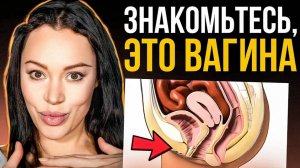 Размер влагалища и количество партнеров: есть ли связь?