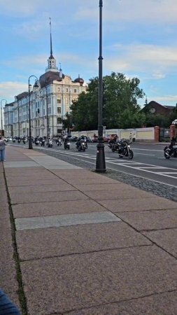 Пчёлы и осы Санкт-Петербурга