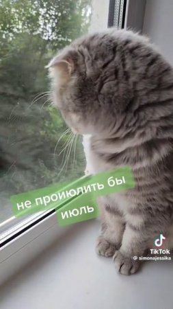 Философ