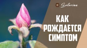 Формирование женской психосоматики