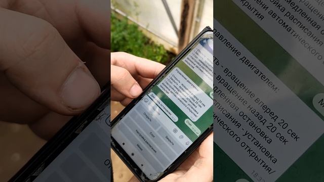 Автоматическая умная теплица своими руками — получилось круто!