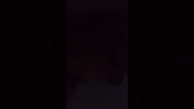 Роблокс