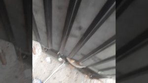 ремонт холодильного оборудования