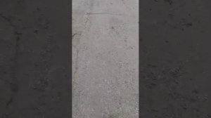 прогулка