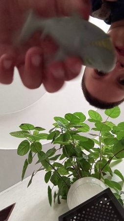 что находится под водой и это не часть первая а первой поселениедния