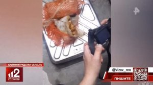 Телеканал «РЕН ТВ», программа «Экстренный вызов 112», 30.06.2025