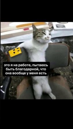 💛 Kodak M35 Желтый (WB: 180291969) – луч солнца в твоих руках