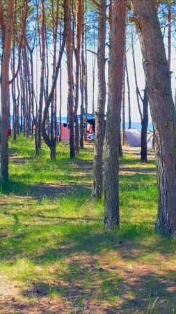 Как отдыхают в июле на Балтийском побережье