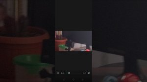 1000035814.mp4